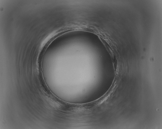 X0000073760246200608171403