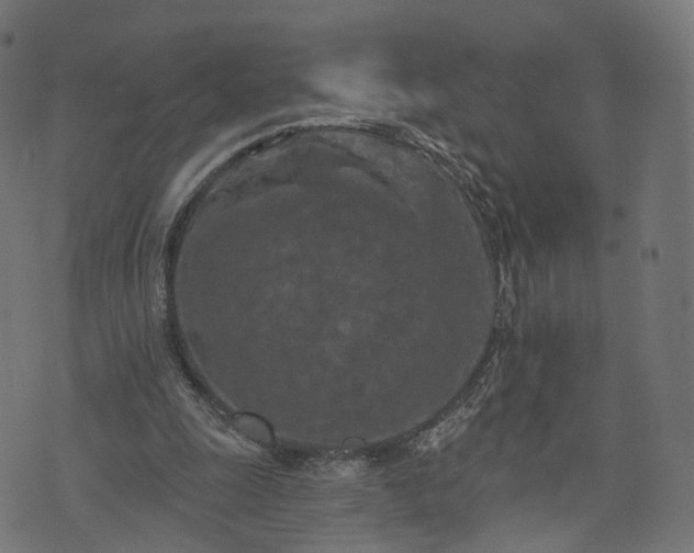 X0000073760247200608171403