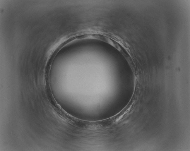 X0000073760248200608171403