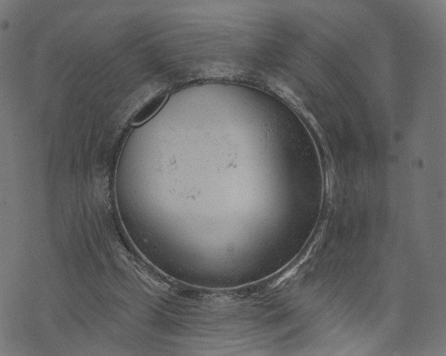 X0000073760249200608171403