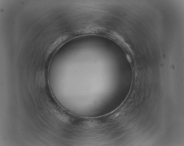 X0000073760250200608171403