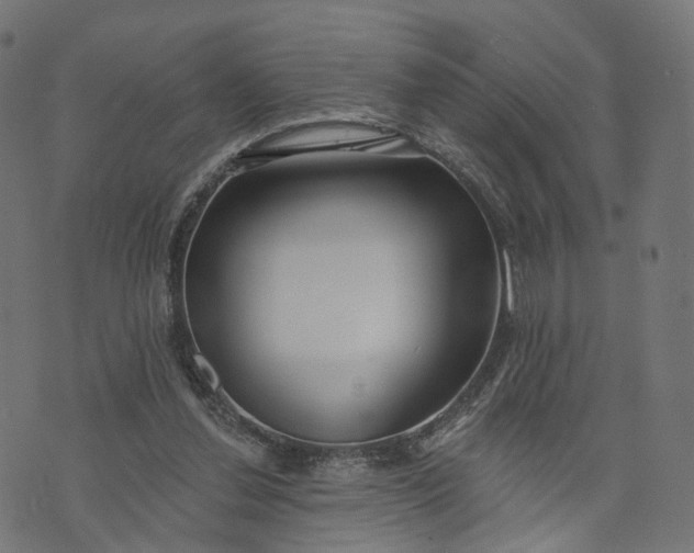 X0000073760252200608171403