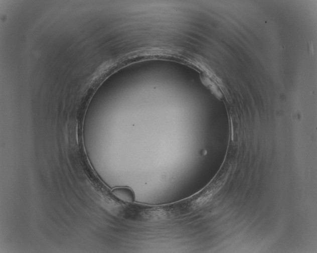 X0000073760253200608171403