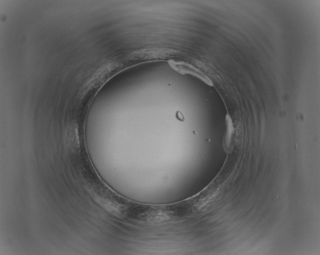 X0000073760254200608171403