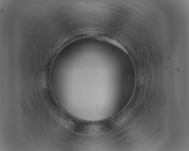 X0000073760255200608171404