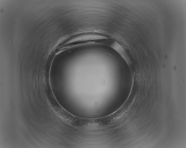 X0000073760256200608171404