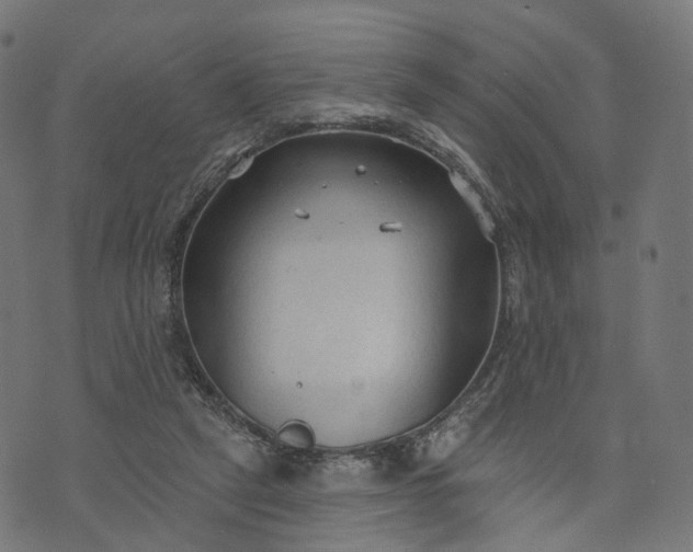 X0000073760257200608171404