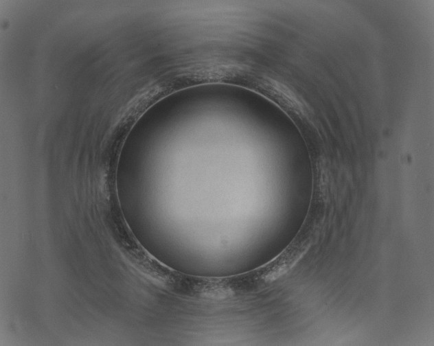 X0000073760258200608171404