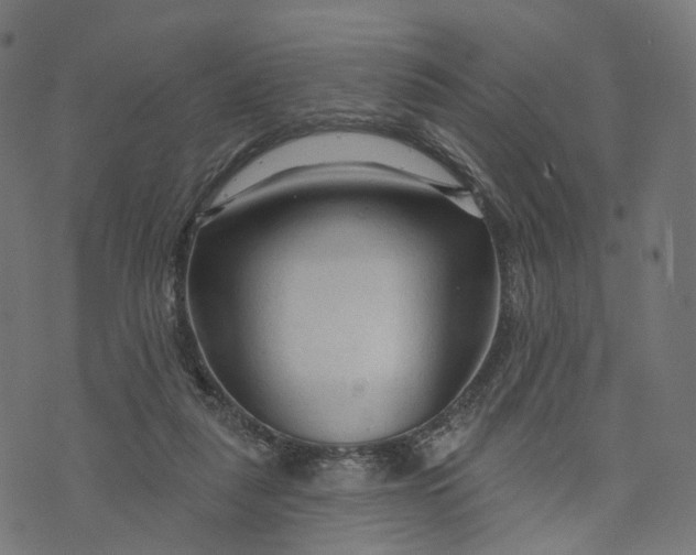 X0000073760259200608171404