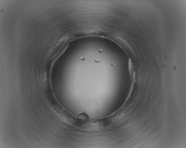 X0000073760260200608171404