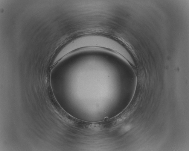 X0000073760261200608171404