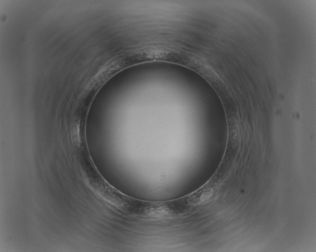 X0000073760262200608171404