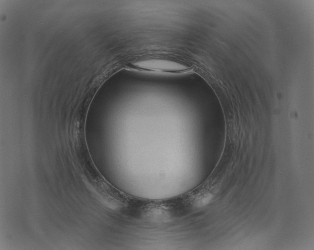 X0000073760263200608171404