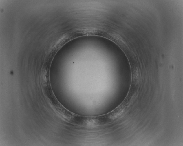 X0000073760264200608171404