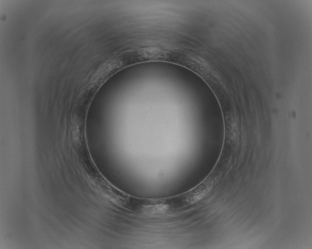 X0000073760266200608171404