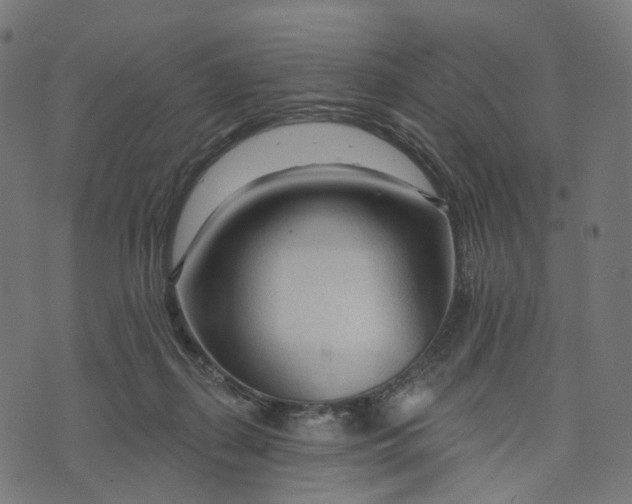 X0000073760267200608171404