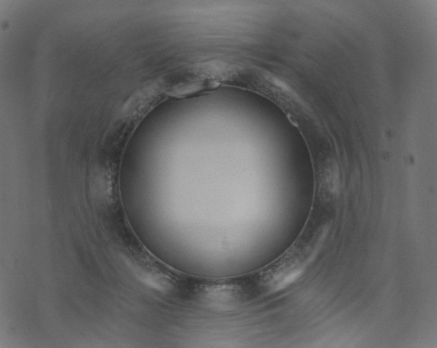 X0000073760268200608171404