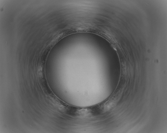 X0000073760269200608171404