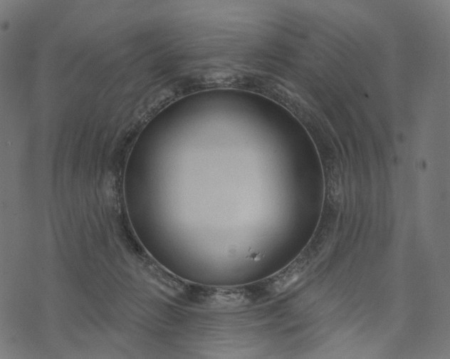 X0000073760270200608171404