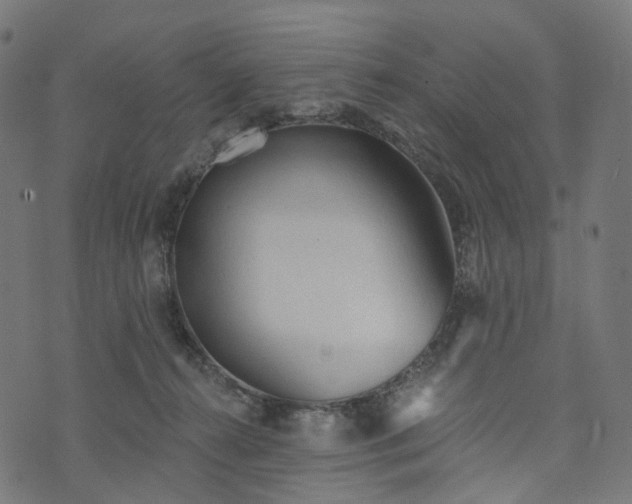 X0000073760272200608171404