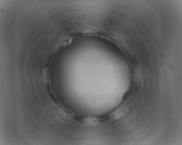 X0000073760273200608171404