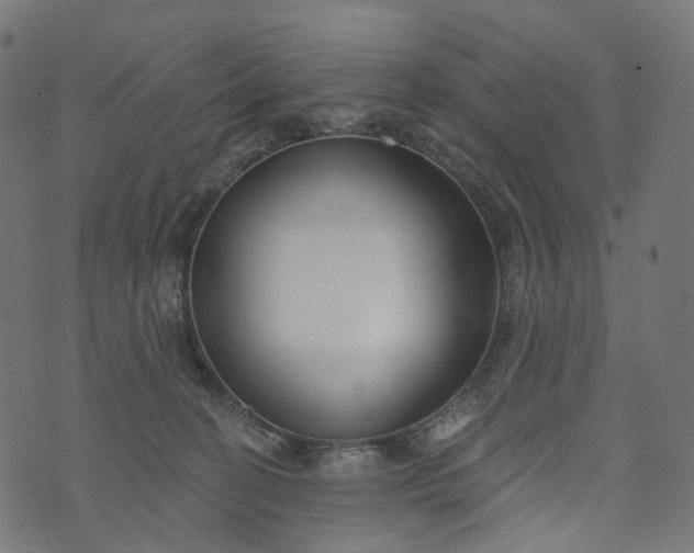 X0000073760274200608171404