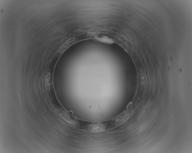 X0000073760275200608171404