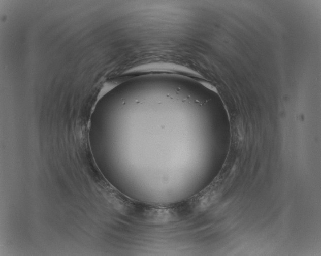 X0000073760276200608171404