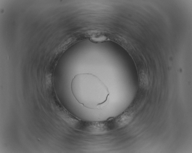 X0000073760278200608171404