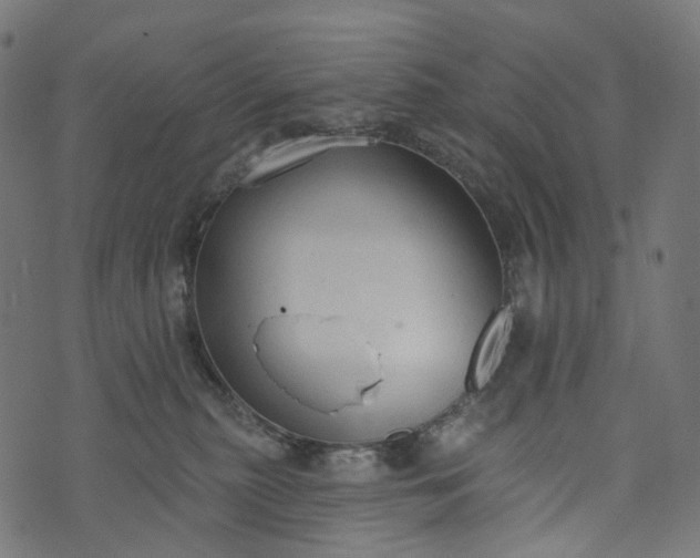 X0000073760279200608171404