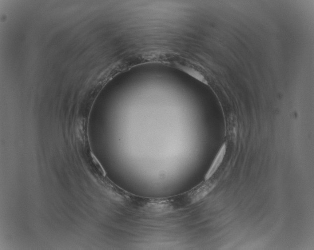 X0000073760280200608171404