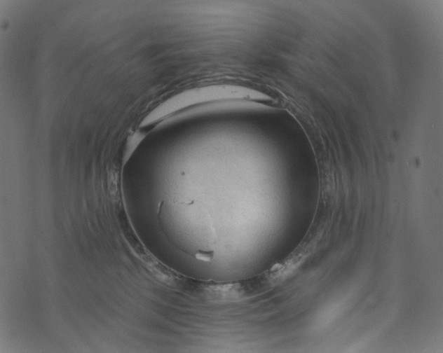 X0000073760281200608171404