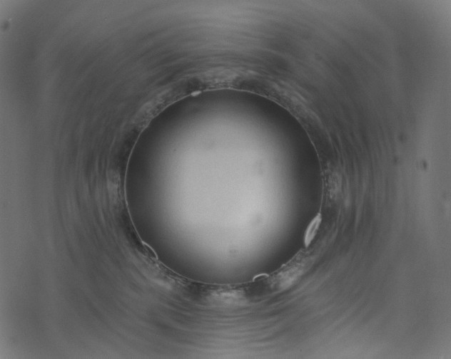 X0000073760283200608171404