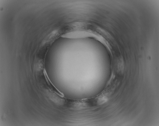 X0000073760284200608171404