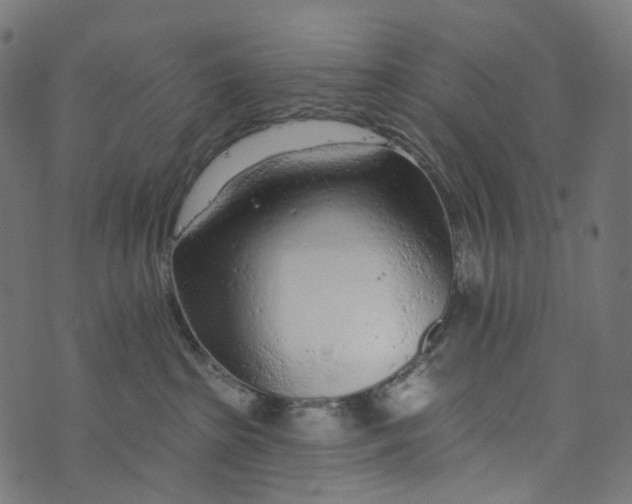 X0000073760285200608171404