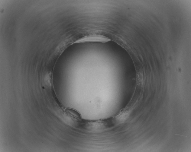 X0000073760286200608171404