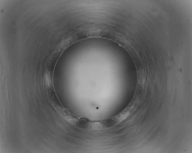 X0000073760287200608171404