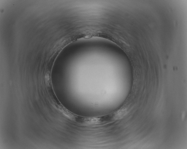 X0000073760288200608171404