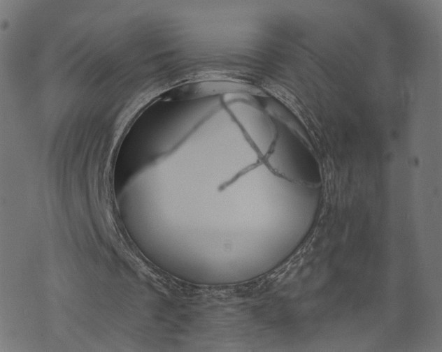 X0000073760289200608171403