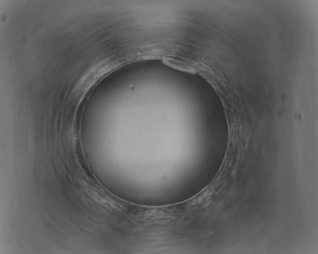 X0000073760290200608171403