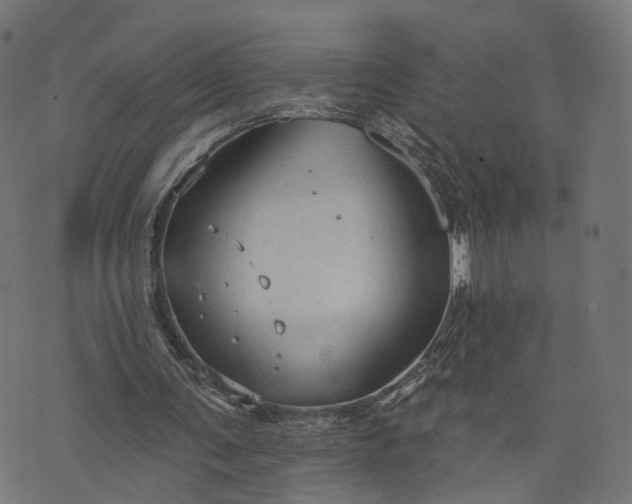 X0000073760291200608171403