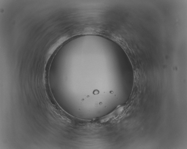 X0000073760292200608171403