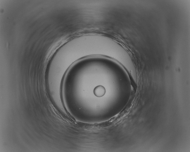 X0000073760293200608171403