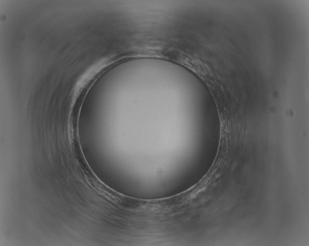 X0000073760294200608171403