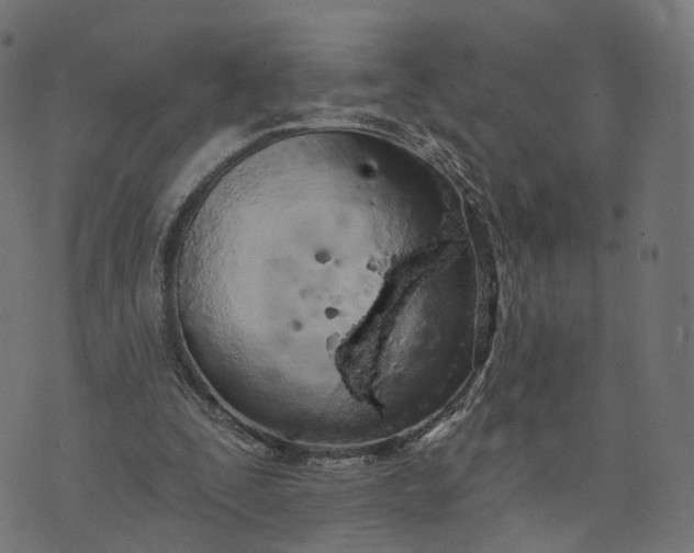 X0000073760295200608171403