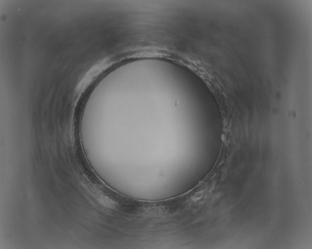 X0000073760296200608171403