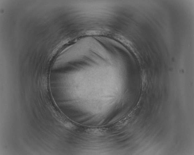 X0000073760297200608171403