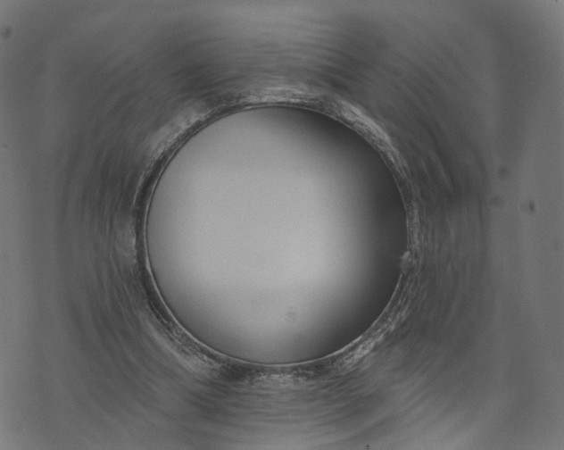 X0000073760298200608171403