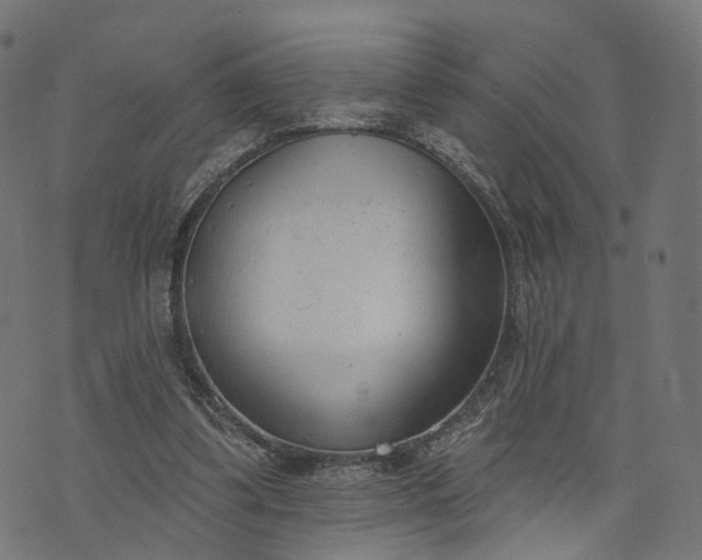 X0000073760299200608171403