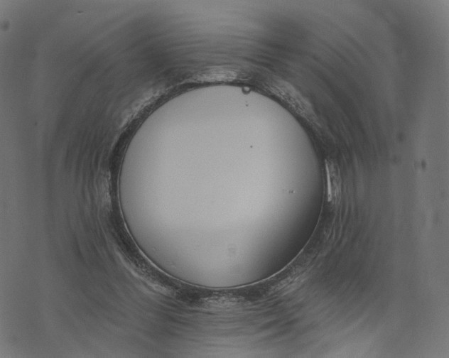 X0000073760300200608171403